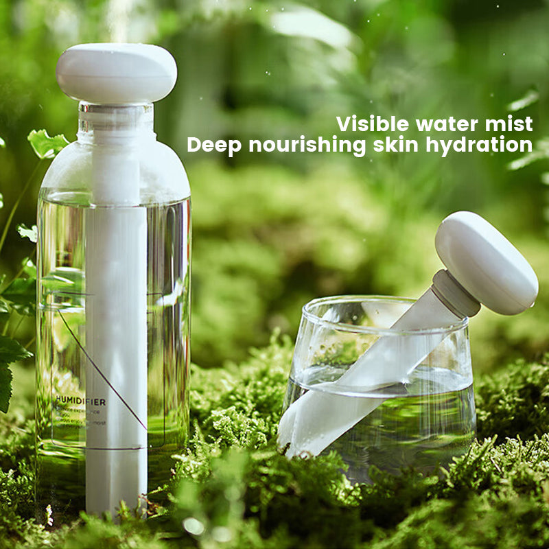 Portable Charging Hydrating Humidifier