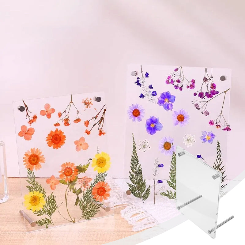 High Clear Acrylic DIY Dried Flower Frame