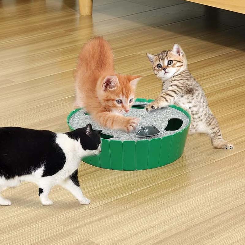 Electric Running Mouse Cat Toy