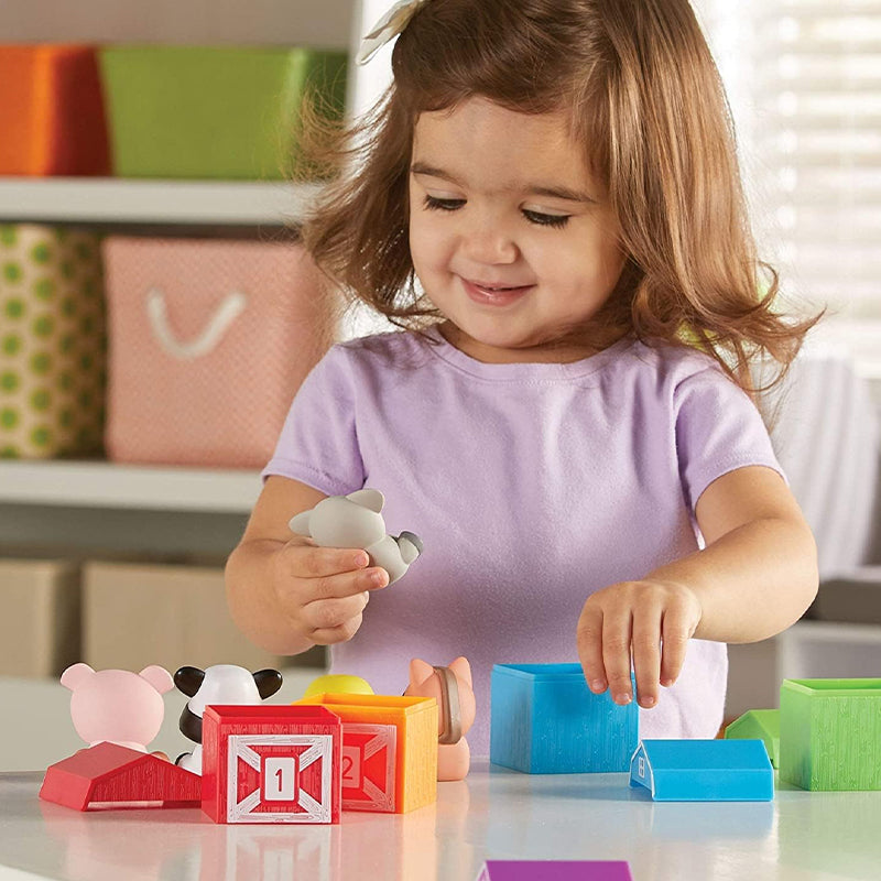Counting Matching Sorting Toy