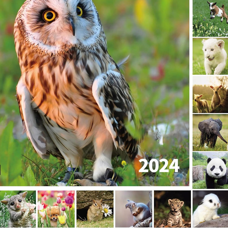 2024 Animals Wall Calendar