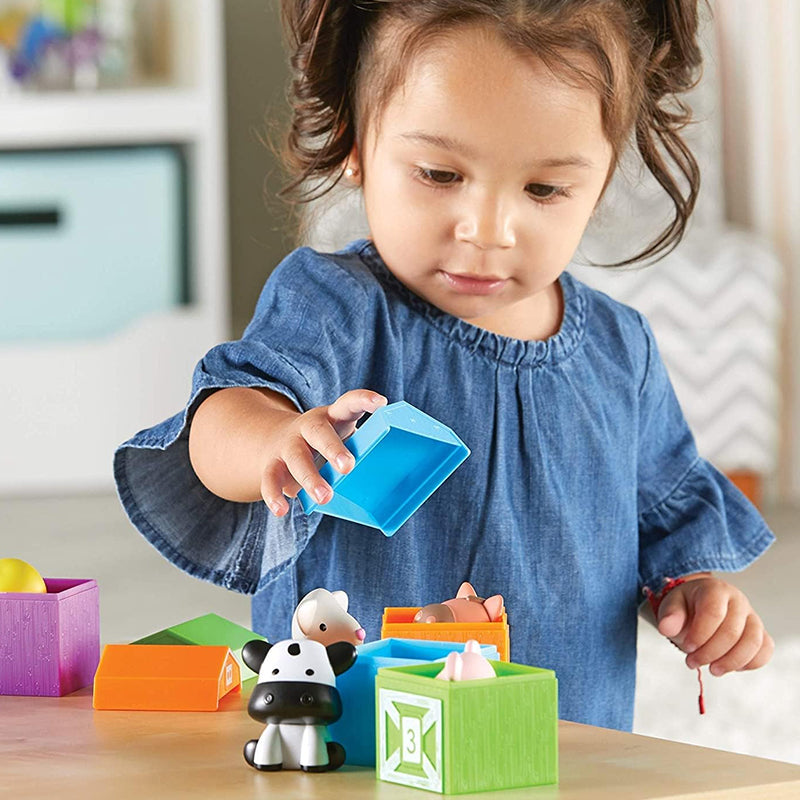 Counting Matching Sorting Toy