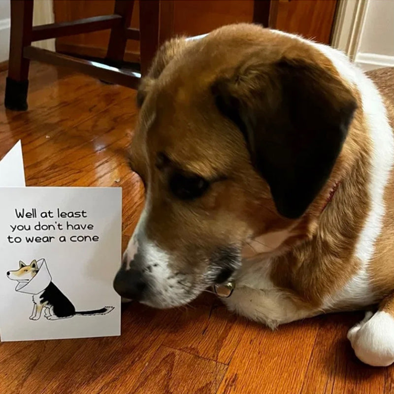 Funny Get Well Card