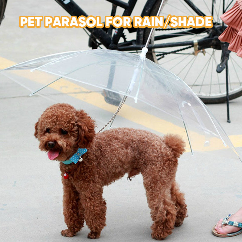 Dog Umbrella