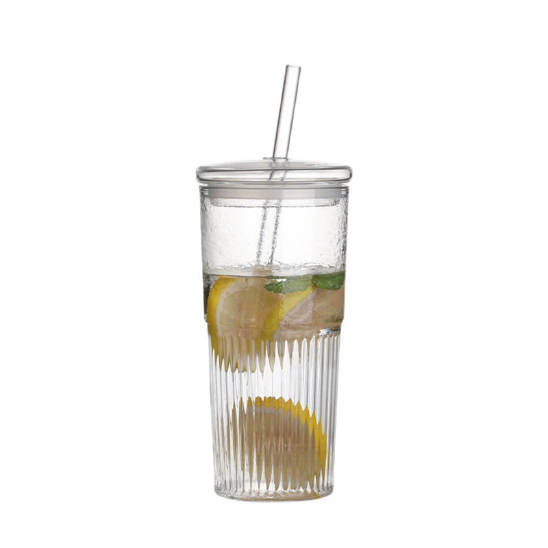 Glass Tumblers Set With Lids and Glass Straws