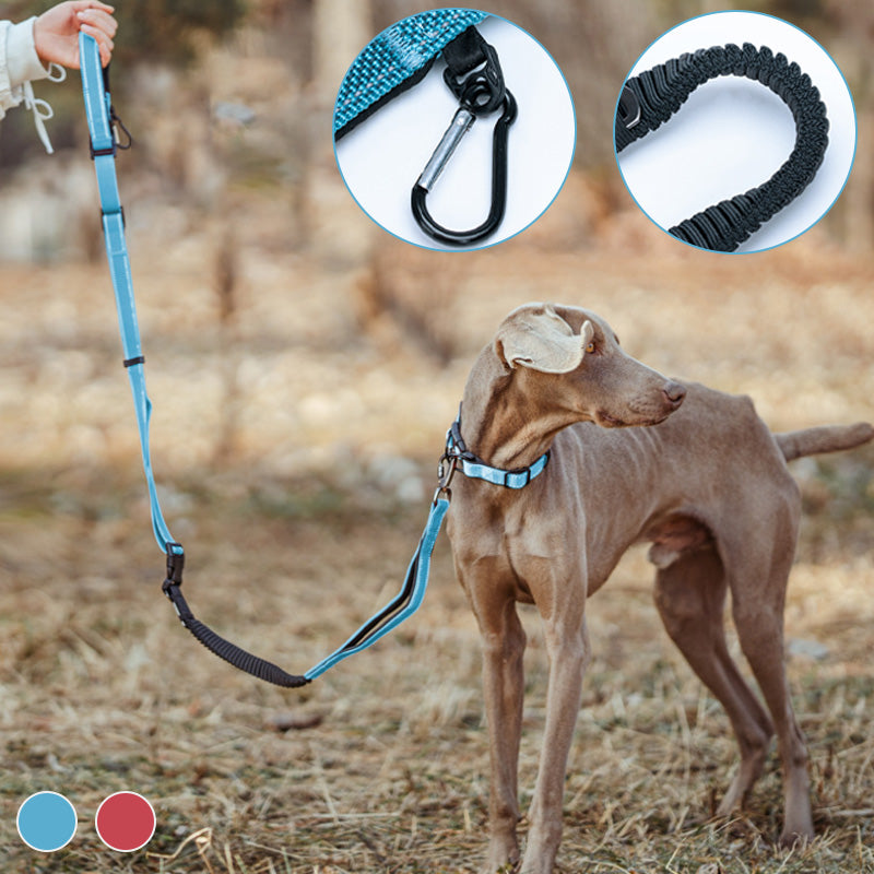 Hands Free Dog Leash