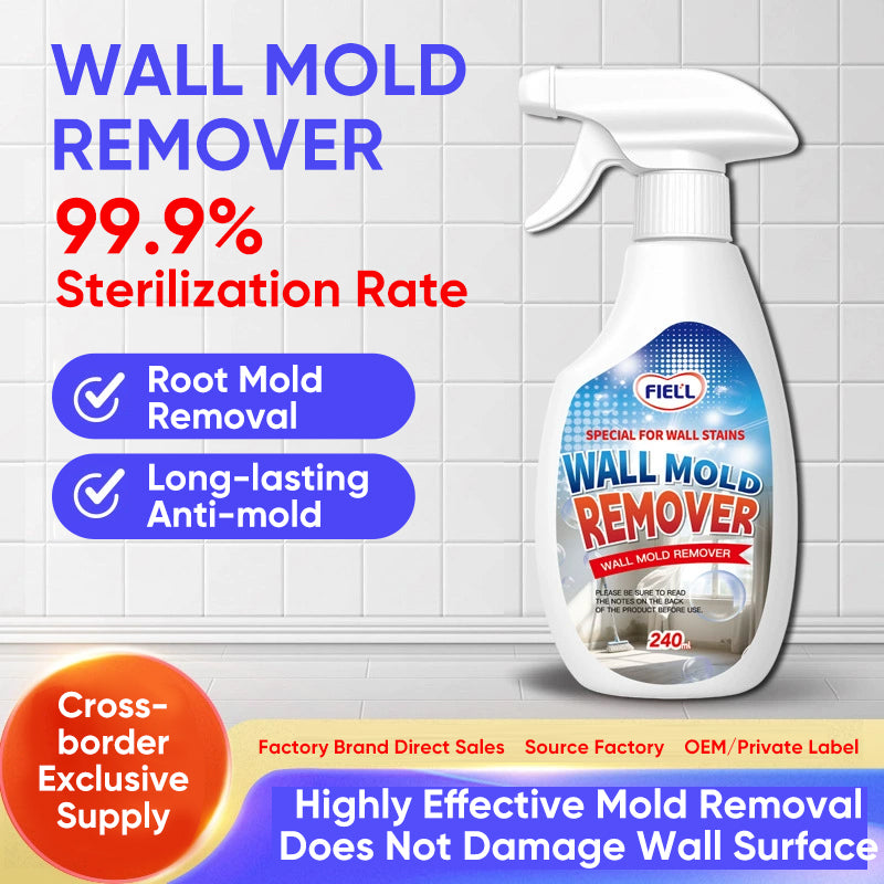 Lanwexy Highly Effective Mould Removal Spray