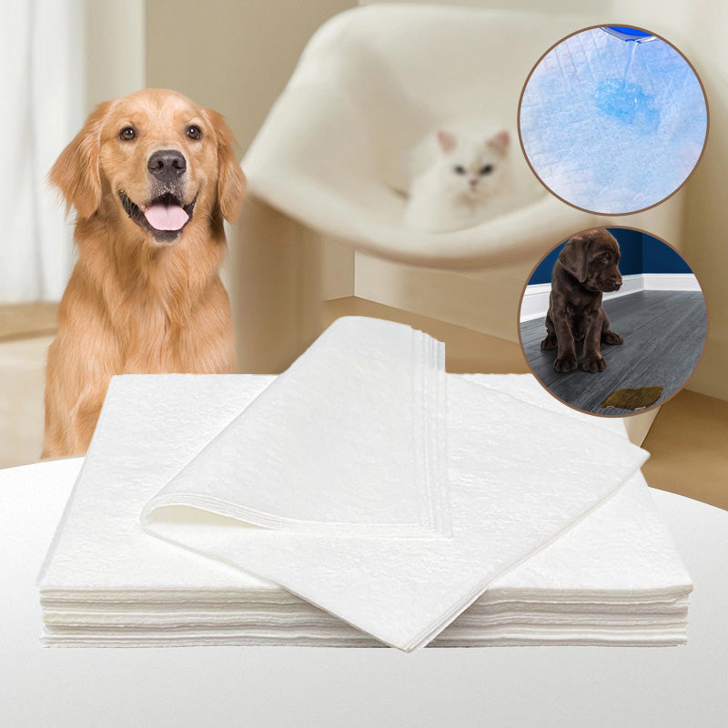 Pet Absorbent Paper