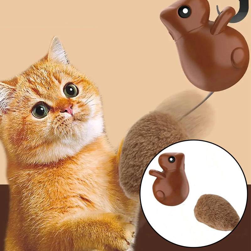 Squirrel Smart Cat Toy