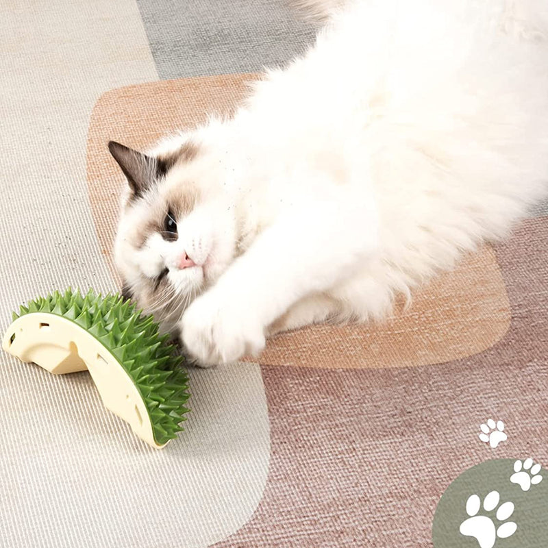 Durian Multifunctional Toys