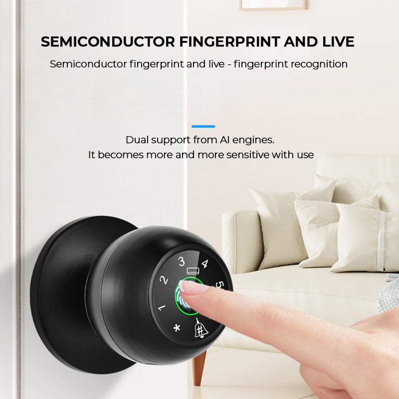 Semiconductor fingerprint lock