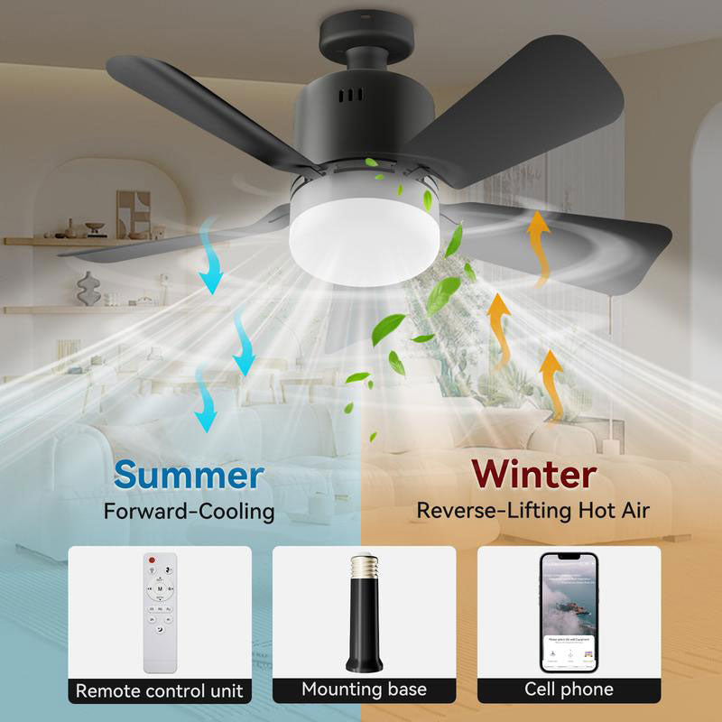 Removing the fan light