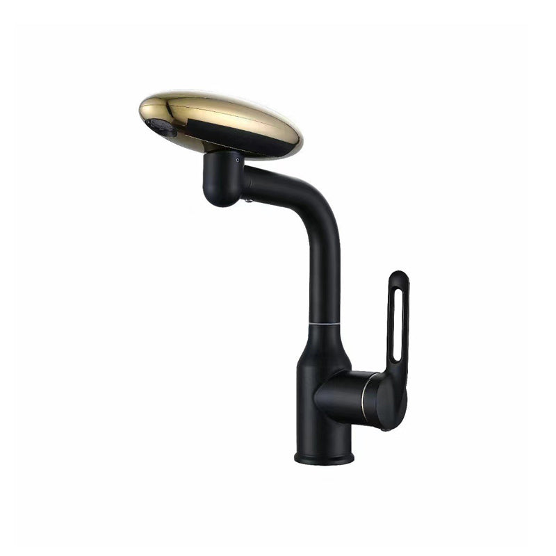 Universal Multi-Function Rotate Spray Faucet