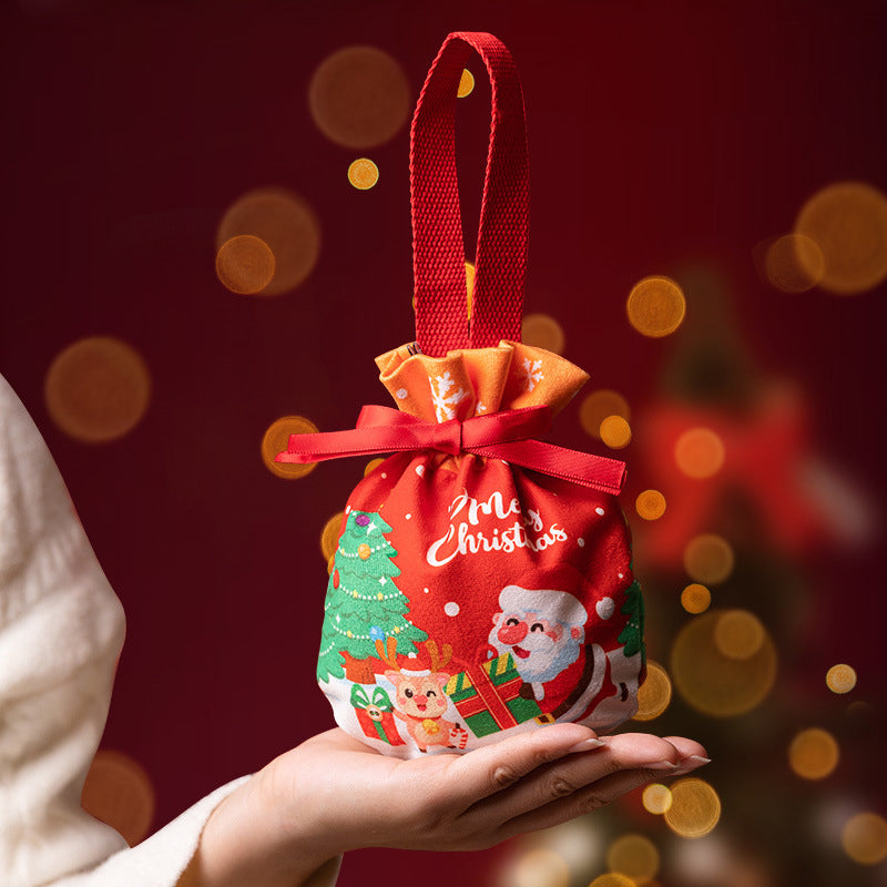 Christmas Apple Gift Bag