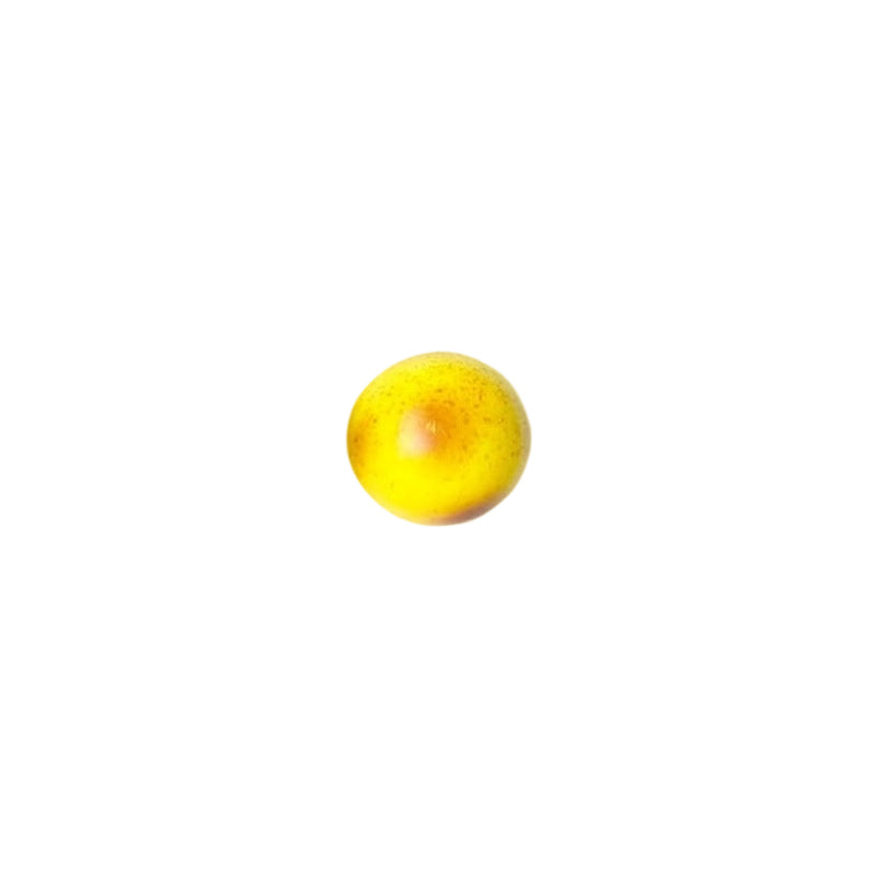 Potato Squishy