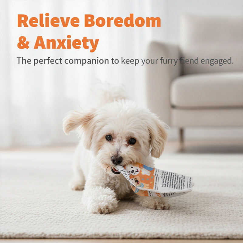 Interactive pet newspaper toy