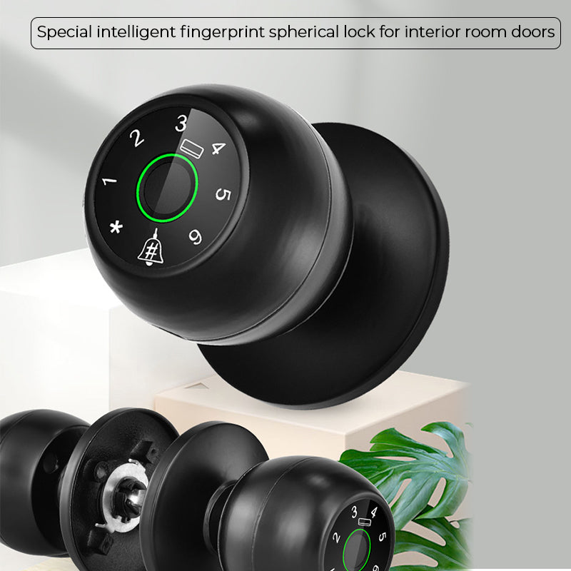 Semiconductor fingerprint lock