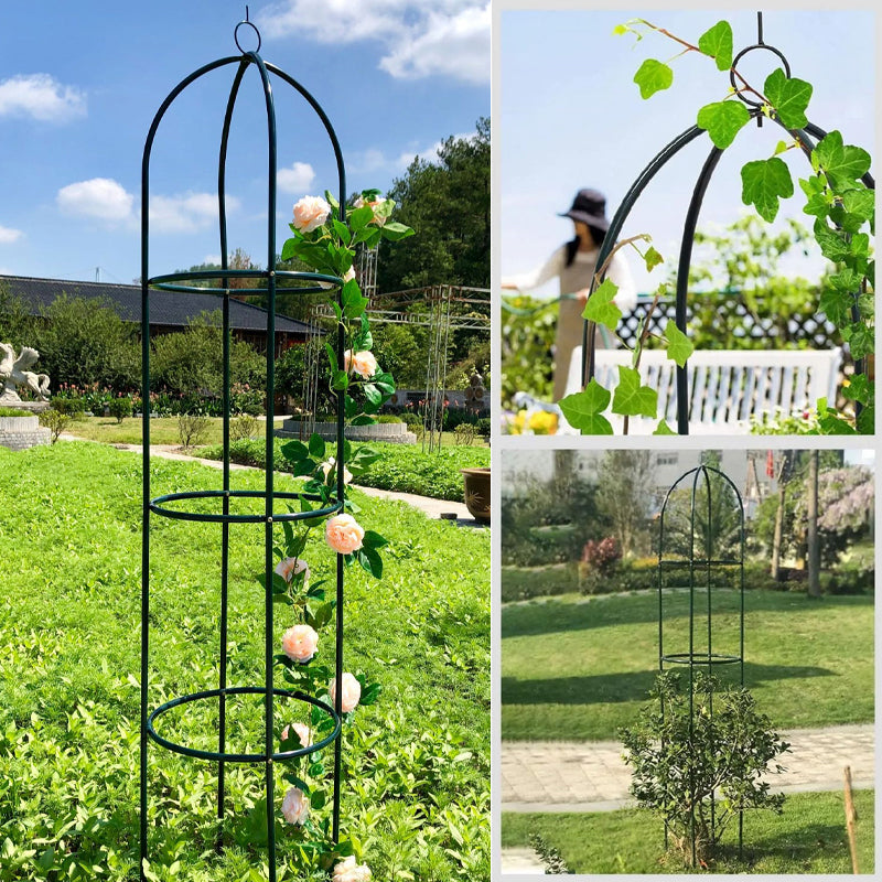 Flower Arrangement Climbing Vine Shelf