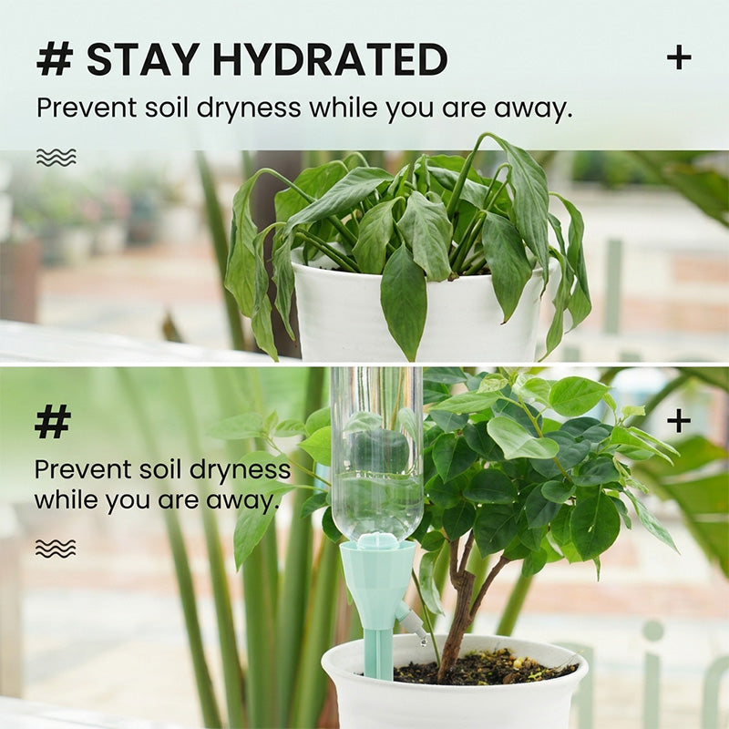 Automatic plant waterer