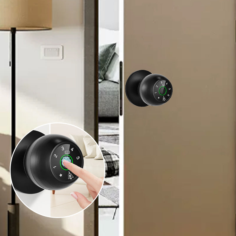 Semiconductor fingerprint lock