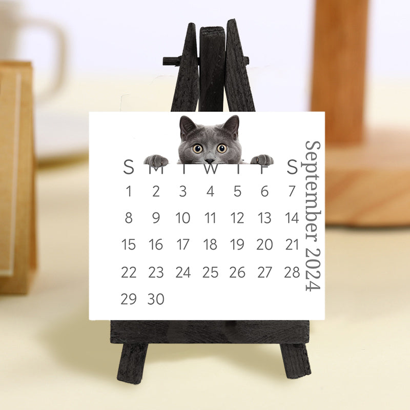 🐱2024 Peeking Cat Desk Calendar