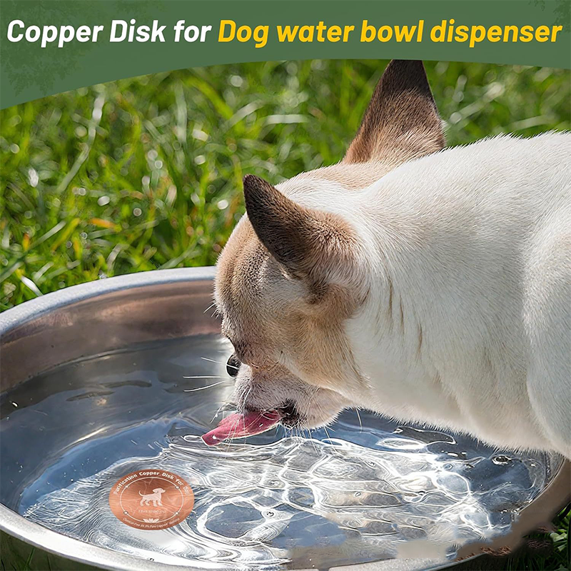 Pet Water Fountain Cleaning Tray