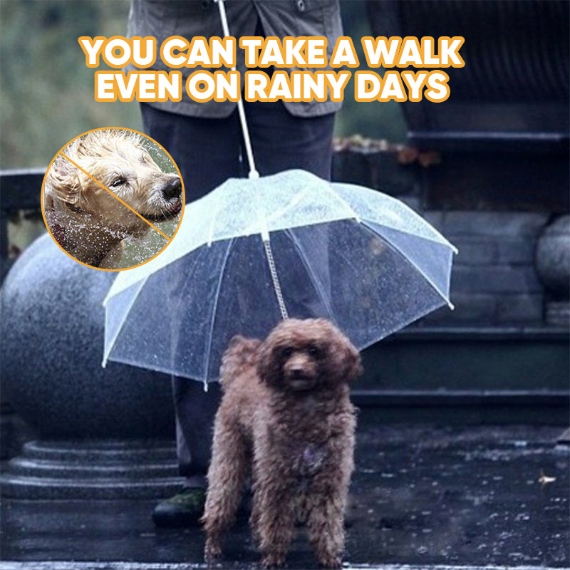 Dog Umbrella