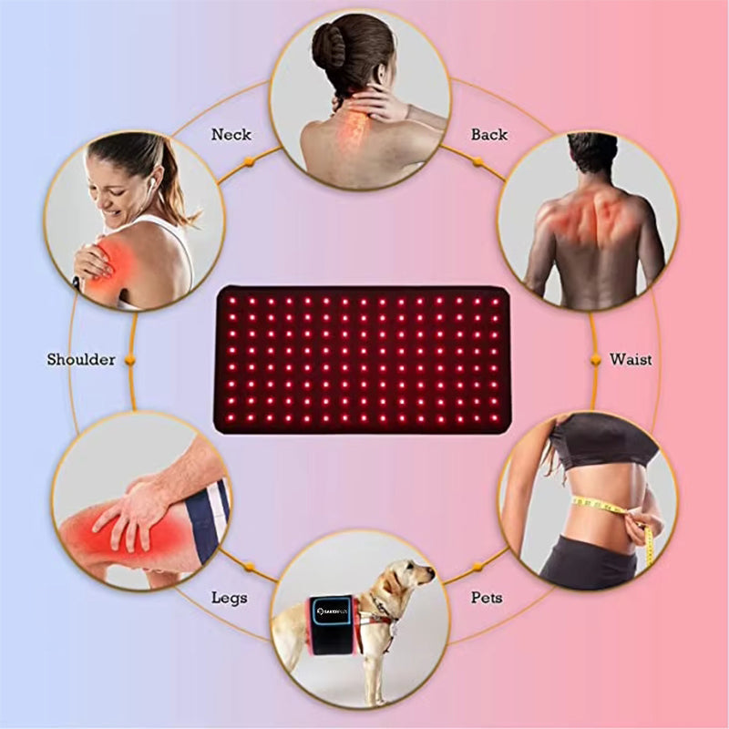 Infrared therapy waist belt