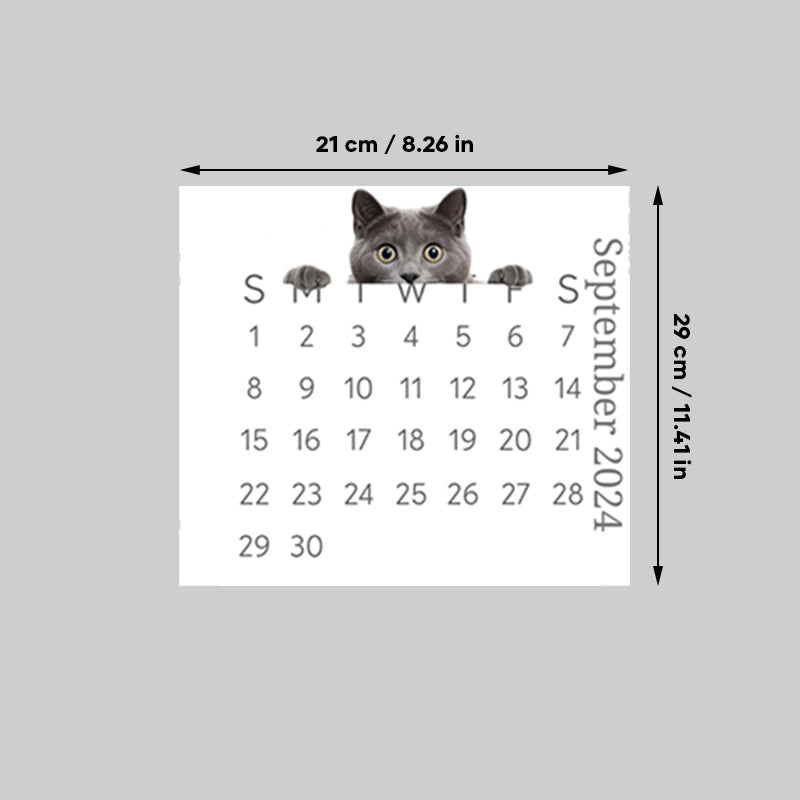 🐱2024 Peeking Cat Desk Calendar