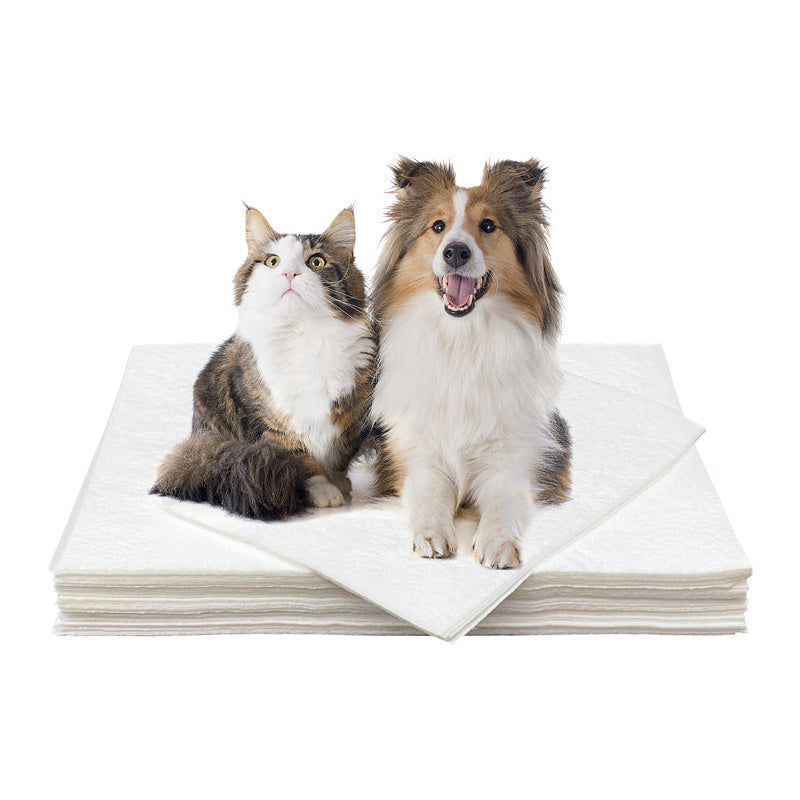 Pet Absorbent Paper