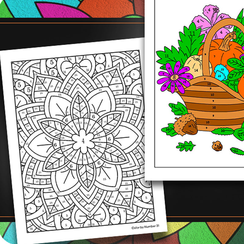 Color By Number For Adult Relaxation