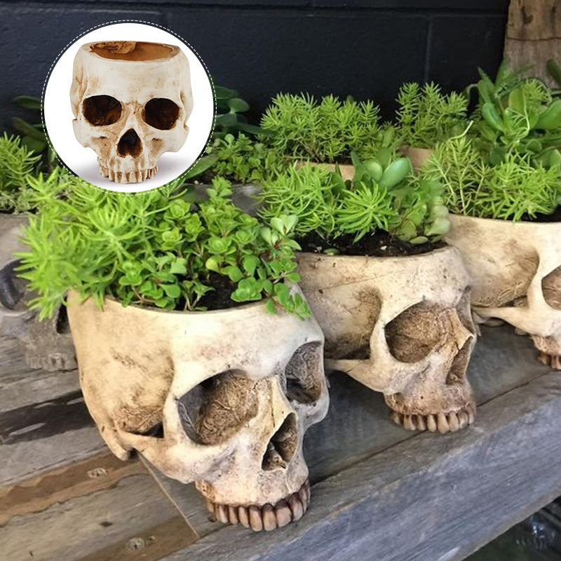 Handmade Skull Flowerpot