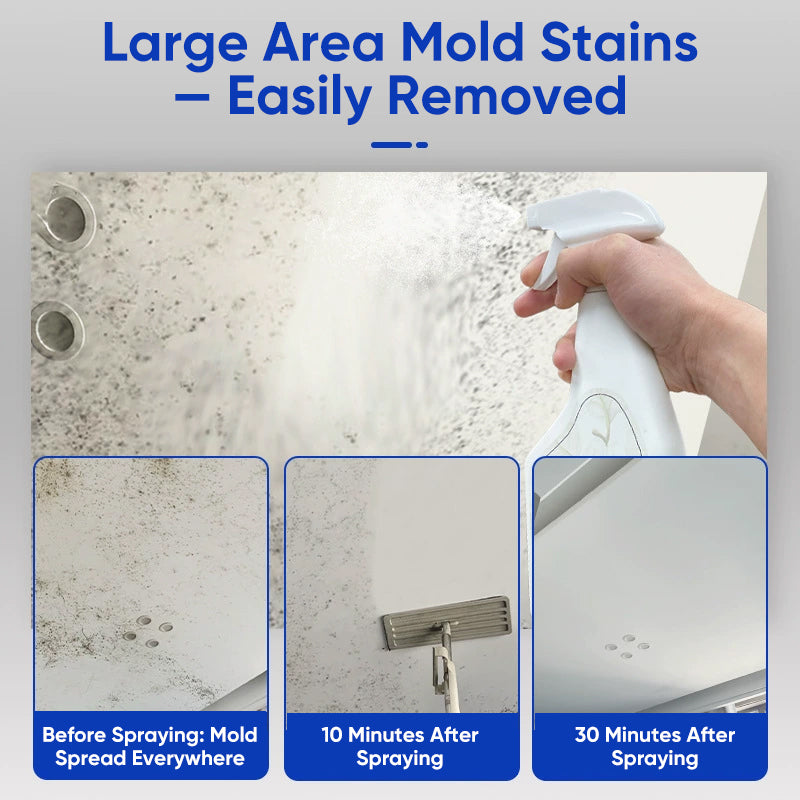 Lanwexy Highly Effective Mould Removal Spray
