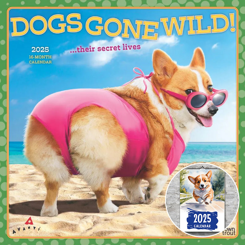 2025 Corgi Monthly Square Wall Calendar