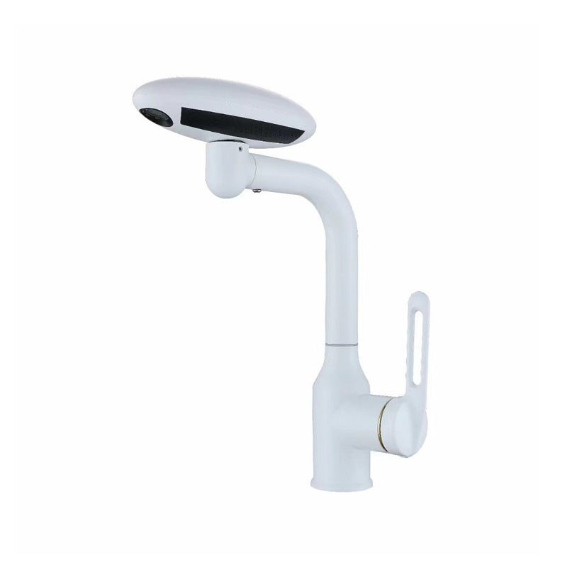 Universal Multi-Function Rotate Spray Faucet