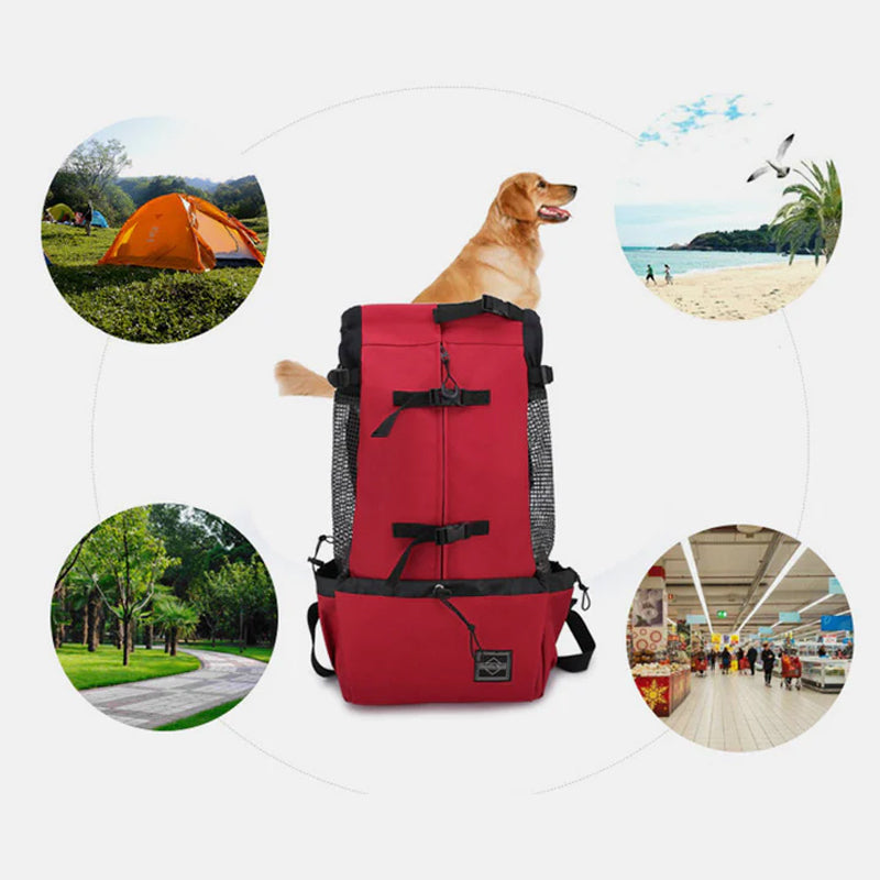 Breathable Travel Backpack For Pet Dog And Cat