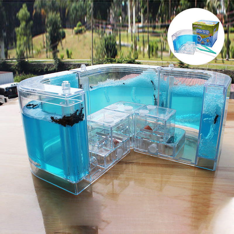 Ant Home Ecological Toys