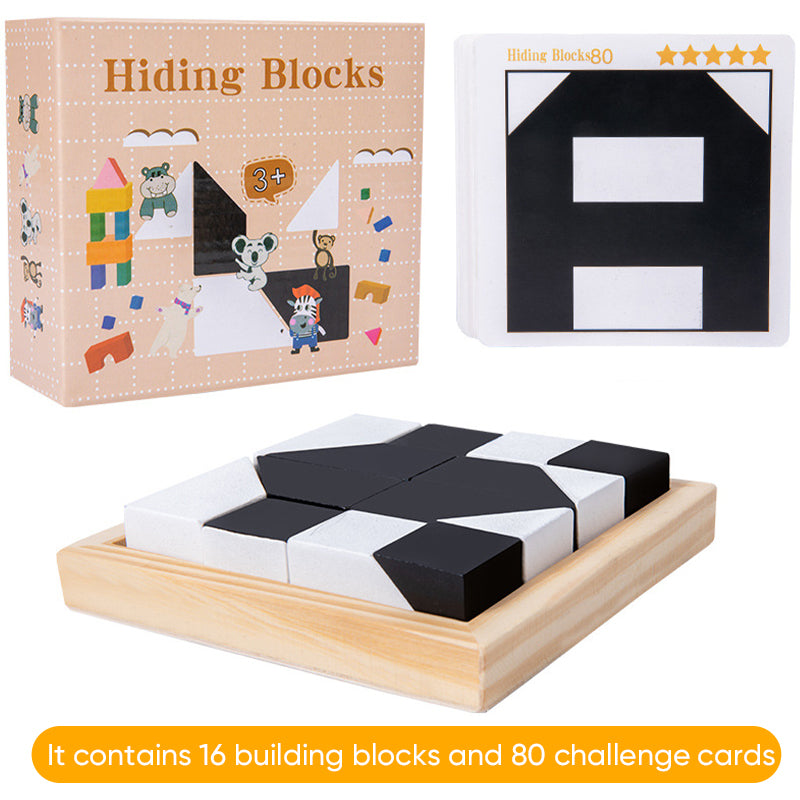 Puzzles Hidden Building Blocks Puzzles Toys