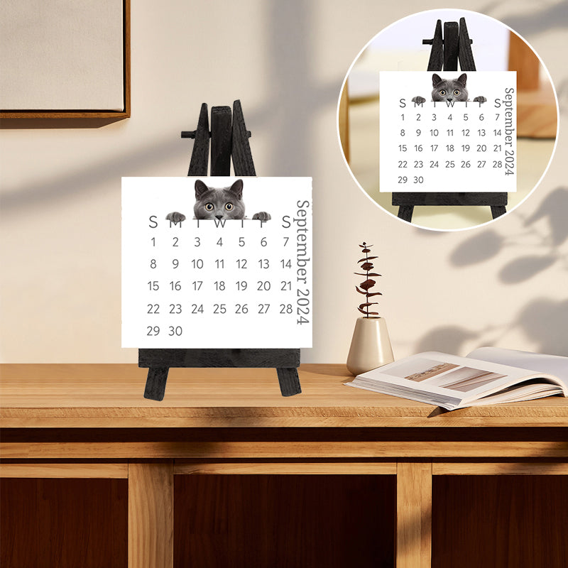 🐱2024 Peeking Cat Desk Calendar