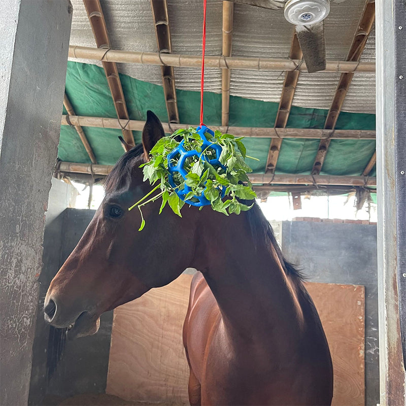 Horse Treat Ball