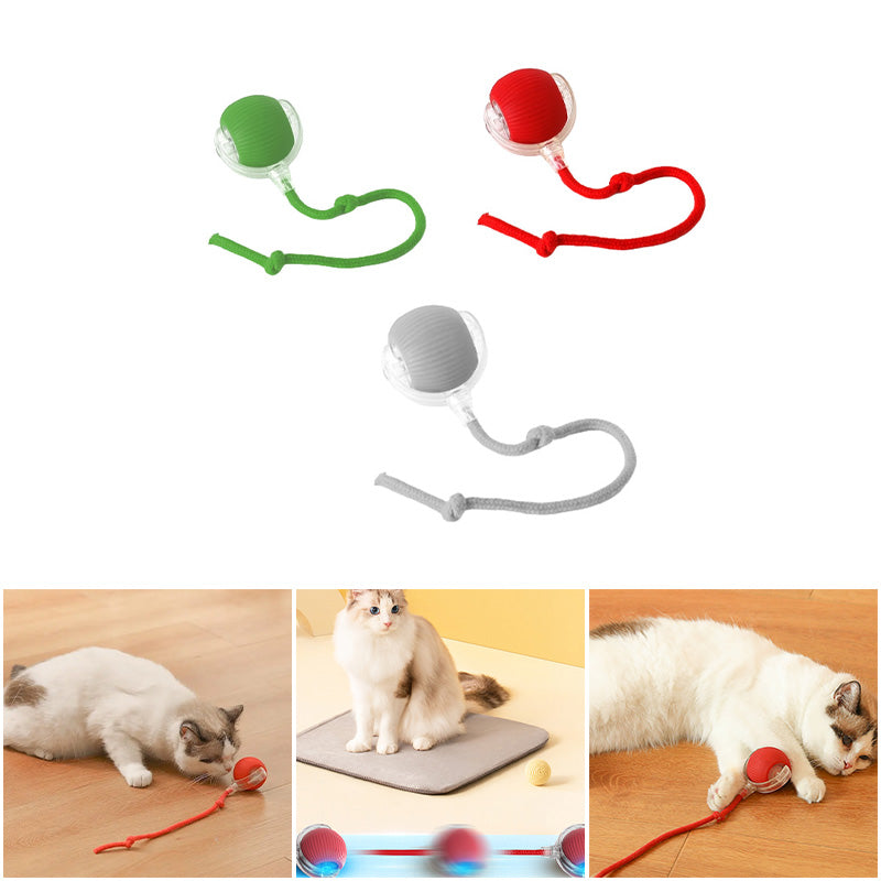 Indoor Cat Interactive Cat Toy Ball