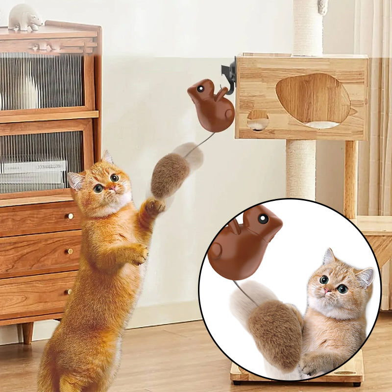 Squirrel Smart Cat Toy