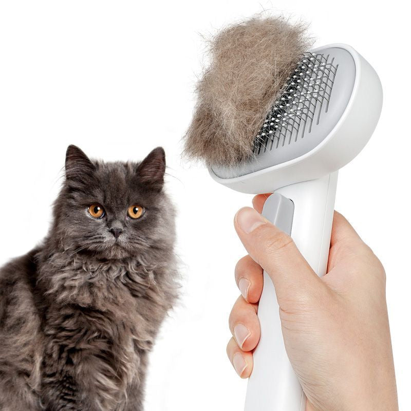 Pet Floating Hair Brush