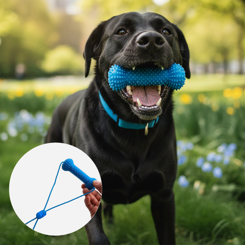 Pet Teeth Grinding and Brushing Stick