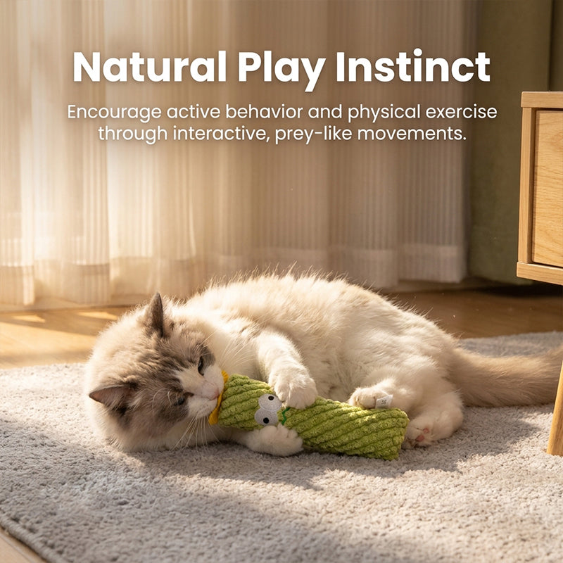 Cat Chewing Toy