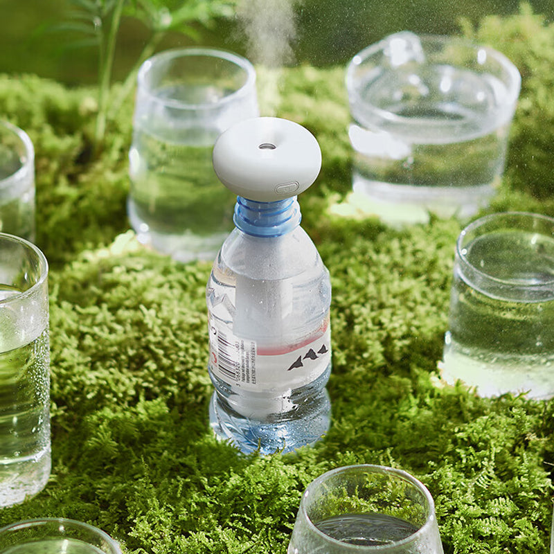 Portable Charging Hydrating Humidifier