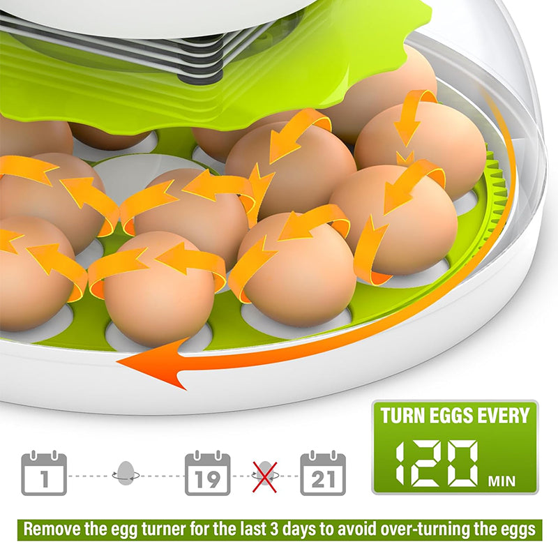 18-Piece Fully Automatic Egg Incubator