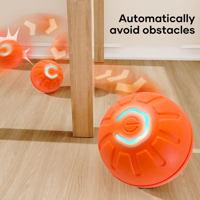 New Electric Bouncing Ball for Dogs