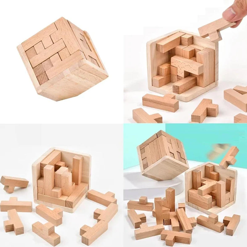 Wooden Intelligence Toy Brain Teaser Game