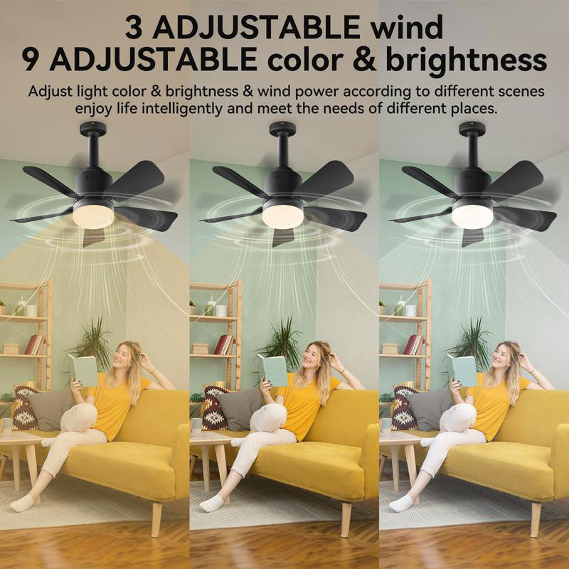 Removing the fan light